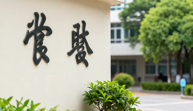技术支持在软件研发中的适用条件与选择依据